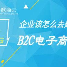 電子商務(wù) 數(shù)字時(shí)代的商業(yè)革命