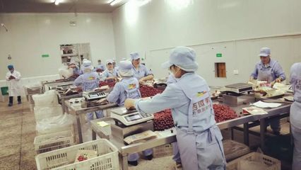白馬情天池美——電商發(fā)展新篇章 左占高局長率團(tuán)考察西域美農(nóng)公司