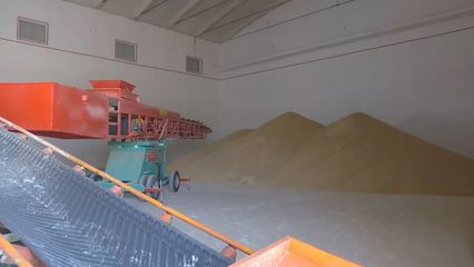 洋浦國際糧油物流加工產業園加快建設，賦能糧食加工產業升級